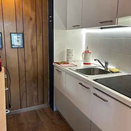 Rododendro Ski-in Ski-out Cir 0491 Appartamento *