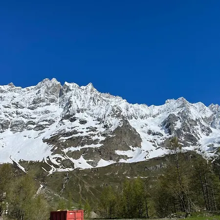 Rododendro Ski-in Ski-out Cir 0491