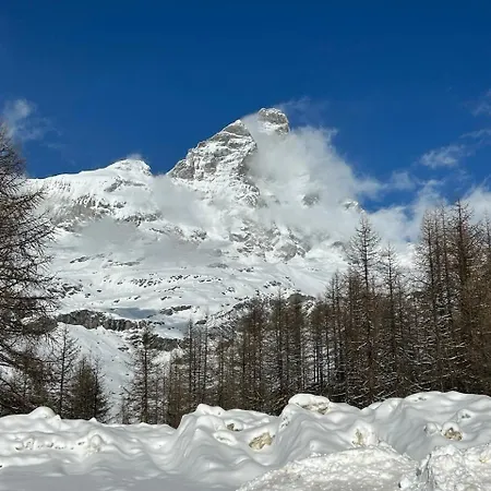 Rododendro Ski-in Ski-out Cir 0491 *