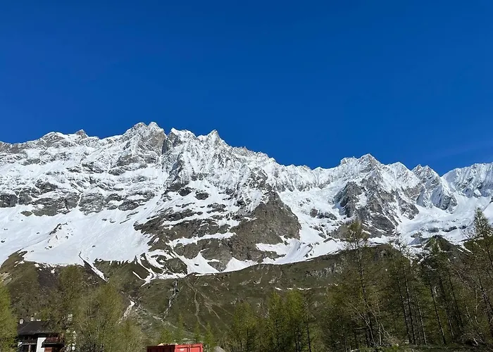 Rododendro Ski-in Ski-out Cir 0491