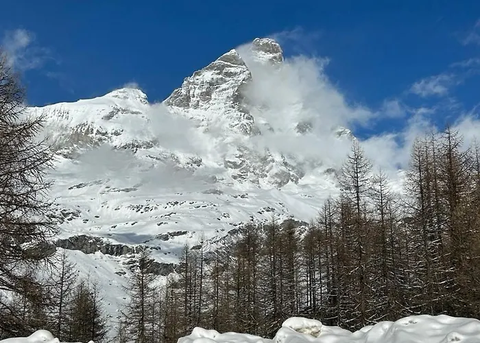 Rododendro Ski-in Ski-out Cir 0491 *