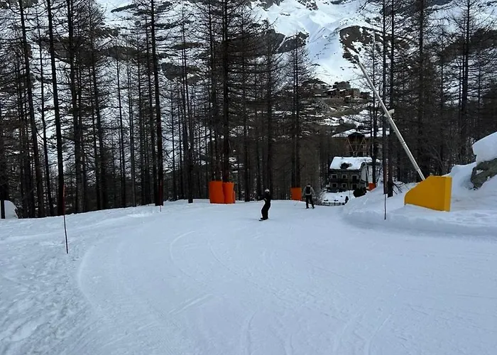 Rododendro Ski-in Ski-out Cir 0491 *