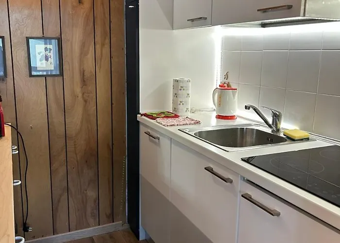 Rododendro Ski-in Ski-out Cir 0491 Апартаменти *